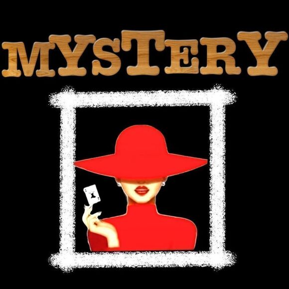 | 10 | Piece Mystery Box Gently Used Clothing - Picture 1 of 2